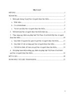 Tìm hiểu về mô hình qũy bảo vệ người được bảo hiểm và thực trạng quy định pháp luật việt nam về mô hình này 