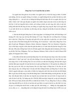 Văn hóa đông nam á 