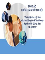 Giải pháp tạo việc làm cho lao động tại xã tân hương huyện ninh giang, tỉnh hải dương 