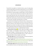 Phân tích tình hình hoạt động kinh doanh của ngân hàng TMCP công thương việt nam chi nhánh bình định  