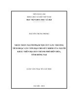 Nhân thân người phạm tội cố ý gây thương tích hoặc gây tổn hại cho sức khỏe của người khác trên địa bàn thành phố biên hòa , tỉnh đồng nai
