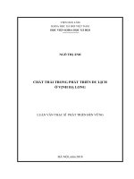 Chất thải trong phát triển du lịch ở vịnh hạ long