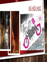 XÃ hội học chủ đề mại dâm 