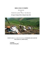 Nghiên cứu , phân tích các lĩnh vực về kỹ thuật lâm sinh và sinh thái rừng  tại khu vực , địa bàn học tập 