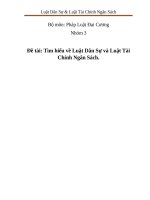 Tìm hiểu về luật dân sự và luật tài chính ngân sách  