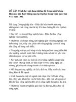 Trình bày nội dung đường lối công nghiệp hóa – hiện đại hóa được thông qua tại đại hội đảng toàn quốc lần VIII năm 1996  