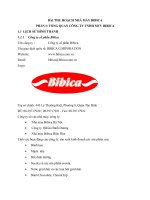 BÁO cáo KIẾN tập NHÀ máy BIBICA