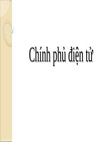 Bài giảng chính phủ điện tử