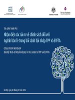 Rủi ro đối với thị trường bán lẻ và ngành bán lẻ Việt Nam - TS Đinh Thị Mỹ Loan