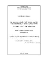 Tội mua bán trái phép chất ma túy trong pháp luật Hình sự Việt Nam từ thực tiễn tỉnh Nam Định