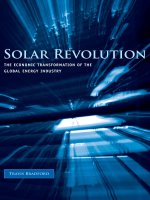 Solar revolution the economic transformation of the global energy industry 