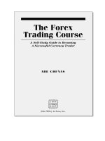 The forex trading course a self study guide to becoming a successful currency trader 