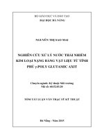Nghiên cứu xử lý nước thải nhiễm kim loại nặng bằng vật liệu từ tính phủ γ poly glutamic axit (tt) 