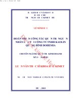 Hoàn thiện công tác quản trị nguồn nhân lực tại công ty TNHH kaolin quảng bình bohemia 