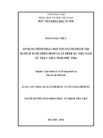 Áp dụng hình phạt đối với người phạm tội dưới 18 tuổi theo pháp luật hình sự Việt Nam từ thực tiễn tỉnh Phú Thọ