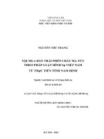 Tội mua bán trái phép chất ma túy trong pháp luật hình sự việt nam từ thực tiễn tỉnh nam định 