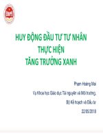 HUY ĐỘNG ĐẦU TƯ TƯ NHÂN THỰC HIỆN TĂNG TRƯỞNG XANH - Phạm Hoàng Mai