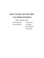 Bài tập lớn lập trình window quản lý kho vật tư