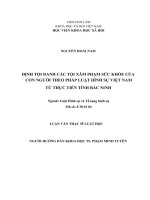 Định tội danh các tội xâm phạm sức khỏe của con người theo pháp luật hình sự việt nam từ thực tiễn tỉnh bắc ninh 