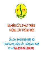 NGHIÊN CỨU, PHÁT TRIỂN GIỐNG CÂY TRỒNG MỚI CỦA CÁC THÀNH VIÊN HIỆP HỘI THƯƠNG MẠI GIỐNG CÂY TRỒNG VIỆT NAM VSTA
