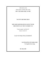 Điều kiện kinh doanh dịch vụ lữ hành theo pháp luật việt nam hiện nay 