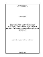Biện pháp tổ chức phối hợp các lực lượng giáo dục trẻ em đường phố ở thành phố hồ chí minh hiện nay 