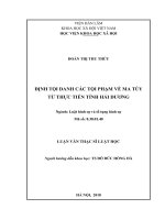 Định tội danh các tội phạm về ma túy từ thực tiễn tỉnh hải dương ( Luận văn thạc sĩ)