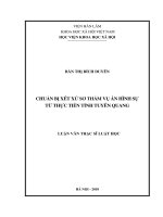 Chuẩn bị xét xử sơ thẩm vụ án hình sự từ thực tiễn tỉnh tuyên quang 