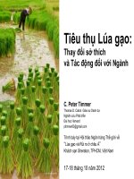 Tiêu thụ Lúa gạo: Thay đổi sở thích và Tác động đối với Ngành