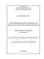 Áp dụng hình phạt bổ sung theo pháp luật hình sự việt nam từ thực tiễn tỉnh hải dương ( Luận văn thạc sĩ)