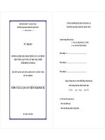 Đánh giá hiệu quả hoạt động của các bệnh viện công lập vùng tây bắc dựa trên thẻ điểm cân bằng tt