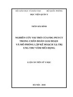 Nghiên cúu vai trò của FDG PETCT trong chẩn đoán giai đoạn bệnh và mô phỏng lập kế hoạch xạ trị ung thư vòm mũi họng 