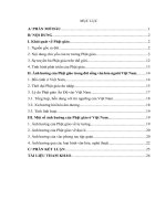 TIEU LUAN HANG   ảnh hưởng của phật giáo đến xã hội việt nam (1)