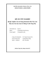 Nghiên cứu sử dụng diatomite phú yên làm phụ gia cho sản xuất xi măng và bê tông nhẹ 