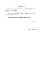 Nghiên cứu và tổng hợp nano silica từ tro trấu bằng phương pháp kết tủa 