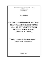 Khảo sát thành phần hóa học phân đoạn dichlomethane loài dó đất (balanophora fungosa subsp  indica (arn ) b  hansen) (2018) 