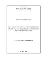 Định tội danh tội cố ý gây thương tích hoặc gây tổn hại cho sức khỏe của người khác từ thực tiễn tỉnh vĩnh phúc (Luận văn thạc sĩ)