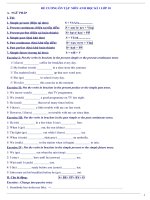 de cuong tieng anh lop 10 