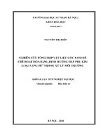Nghiên cứu tổng hợp vật liệu gốc PANi bã chè hoạt hóa H3PO4 định hướng hấp phụ kim loại nặng pb2+ trong xử lý môi trường (2018) 