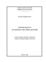 Văn hóa quản lý tại tập đoàn viễn thông quân đội 