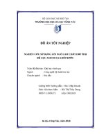 Nghiên cứu sử dụng lõi ngô làm chất hấp thụ để lọc amoni ra khỏi nước 