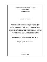 Nghiên cứu tổng hợp vật liệu gốc PANi bã chè hoạt hóa H3PO4 định hướng hấp phụ kim loại nặng fe2+ trong xử lý môi trường (2018) 