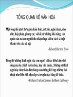 SLIDE VĂN HÓA KD  TỔNG QUAN VỀ VĂN HÓA