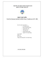 Tiểu luận môn quản trị tài chính doanh nghiệp đánh giá tình hình tài chính của công ty cổ phần bao bì PP   HPB 