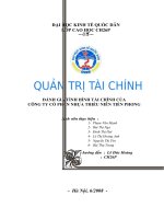 Tiểu luận môn quản trị tài chính đánh giá tình hình tài chính của công ty cổ phần nhựa thiết niên tiền phong 