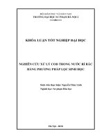 Nghiên cứu xử lý COD trong nước rỉ rác bằng phương pháp lọc sinh học (2018) 