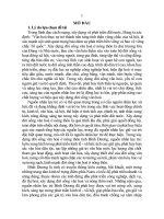 Phát huy vai trò nguồn nhân lực trẻ trong xây dựng đời sống văn hoá ở nông thôn tỉnh bình dương hiện nay tt