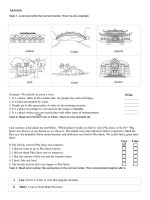 READING test unit 19 english5 