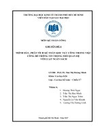 TRÌNH BÀY, PHÂN TÍCH KẾ TOÁN KHU VỰC CÔNG TRONG VIỆC CÔNG BỐ THÔNG TIN TRONG MỐI QUAN HỆ  VỚI LUẬT NGÂN SÁCH