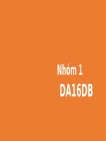 Bài thuyết trình thực vật dược cây tía tô